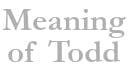The meaning of the name Todd...